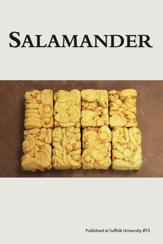 Salamander Magazine Issue 53 Cover "quack quack" by Jia Jia